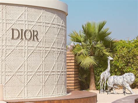 restaurant dior dubai|nammos Dubai reservation.